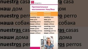 Урок 21 Притяжательные местоимения: мой, твой, наш, ваш. Испанский язык [ Уровень А1]