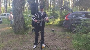 Мы Живы А.Я.Розенбаум (кавер)