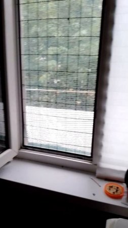 голь на выдумки хитра