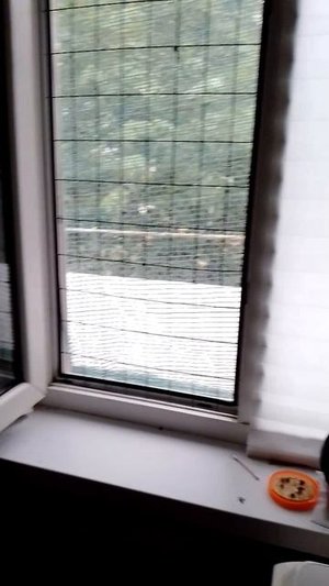 голь на выдумки хитра