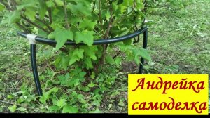 Опора для кустов смородины, крыжовника и цветов из пластиковых труб ПНД.