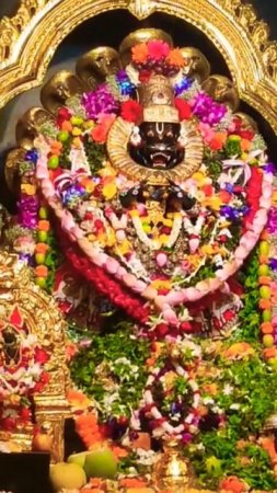 Narasimha Dev darshan in Sri Dham Mayapur #mayapur #Narasimha #shorts