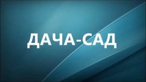ПОЛЕЗНЫЕ СОВЕТЫ  ДАЧНИКУ - КАК ВОСТАНОВИТЬ БАТАРЕЮ ТЕЛЕФОНА