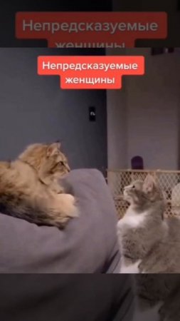Непредсказуемые женщины