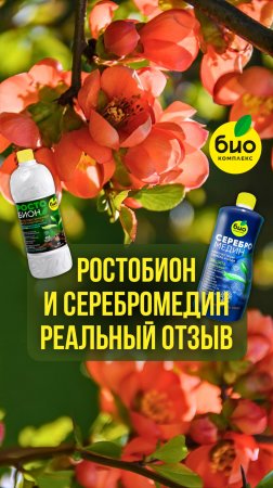 Реальный отзыв Ростобин и Серебромедин