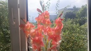 Вот и Пятница 🌦️