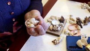 Сокровища Черного моря