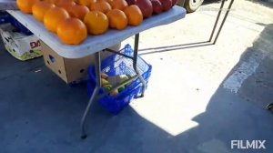 ЯРМАРКА ВЫХОДНОГО ДНЯ В БЛАГОВЕЩЕНСКЕ! 13 июля 2025 г.