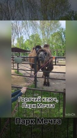 Мечта Горячий ключ , нам вышло 500 руб с человека