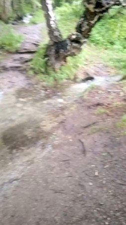 Водопад Ширлак (Девичьи слезы) Алтай