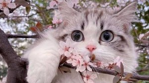 Ребята я уже снимаю про аватар ворлд! Но там неудачные кадры😅😅😅😅😅