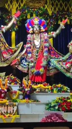 Panchatatva darshan 5 in Mayapur Dham #mayapur #panchatatva #shorts