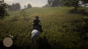 Red Dead Redemption 2 Испытание всадник 9
