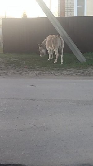 Супер Такси.