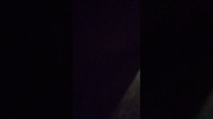 Выполняю задания