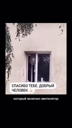 Освежим двор и улицу