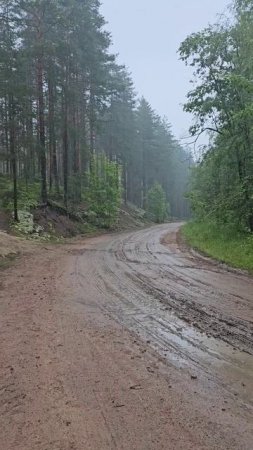 Карелия. Питкяранта. Ниетъярви. Karelia. Pitkäranta. Nietjärvi
