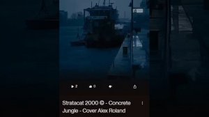 Stratacat 2000 © - Concrete Jungle Calls My Name - Cover Alex Roland
