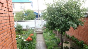 Посмотрим мой сад-огород вместе с вами..