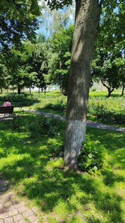 Прогулка по территории Дмитровского кремля 20250718