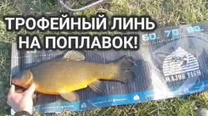 ОГРОМНЫЙ ЛИНЬ НА ПОПЛАВОК ЛЕТОМ НА ТРИ ЧЕРВЯ! Ловля линя летом в камышах на поплавок!