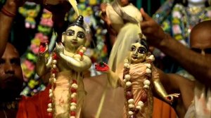 Abhishek on Radhastami festival in Mayapur Chandrodaya Mandir