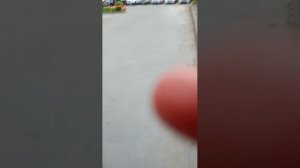 стрим мы гуляем