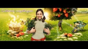 ПОЛЕЗНЫЕ СОВЕТЫ ДАЧНИКУ