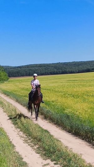 Яна и Аквилон, рысь в поле.