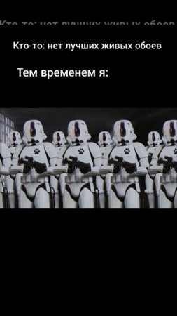 Звёздный пёс