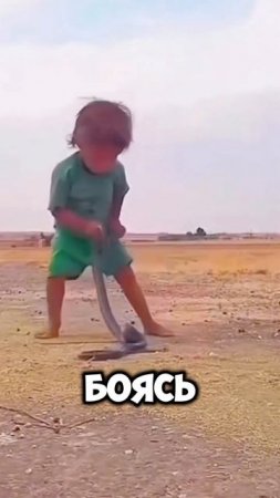 Маленький мальчик поймал ЗМЕЮ