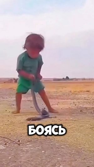 Маленький мальчик поймал ЗМЕЮ