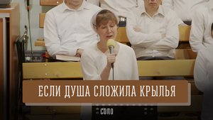 "Если душа сложила крылья" - Елена Кононова | Соло