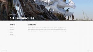 Lesson Overview 3D techniques