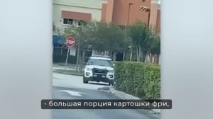 Полицейские Сняли на Камеру То, во Что Трудно Поверить