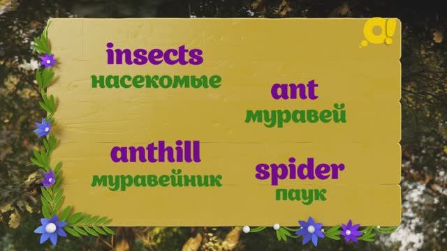Учим английский с детьми в песенках: сегодня тема "Насекомые" смотреть онлайн