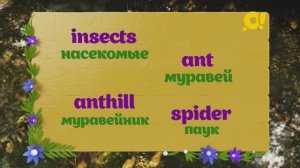 Учим английский с детьми в песенках: сегодня тема "Насекомые"