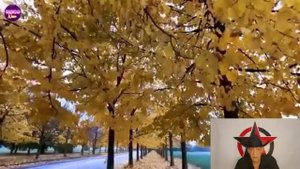 История одного предательства : между Правдой и конформизмом