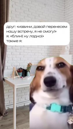 Собака ехидно улыбается 😃