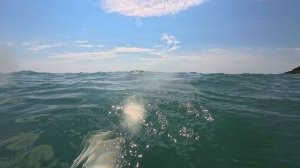 Что можно увидеть при подводной съёмке в море в Сочи