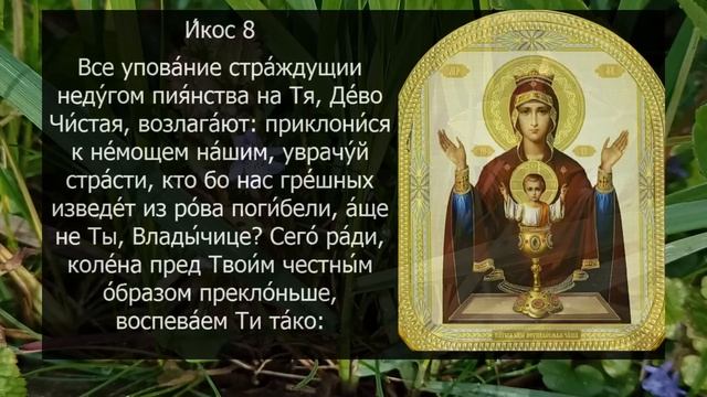 АКАФИСТ НЕУПИВАЕМОЙ ЧАШЕ смотреть онлайн