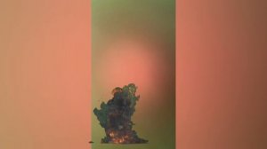 муд три кота