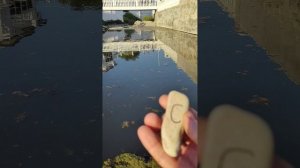 Видео N 122