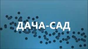 Огурец СИБИРСКАЯ ГИРЛЯНДА F1