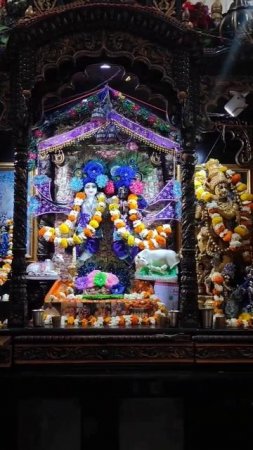 Small Krishna Balaram deities, Russian house in Vrindavan #vrindavan #russia #krishnabalaram #shorts