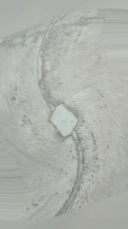 20-07-2025