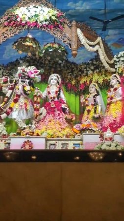 Radha Madhava in flower dress   #mayapur #flowers #shorts