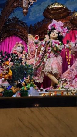 Chandana yatra in Mayapur Dham Radha Madhava so beautiful #mayapur #chandanayatra #blue #shorts