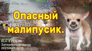 Опасный малипусик. ELC EVEN 90. Затерянный город. 20250621 2238 (1лт).
