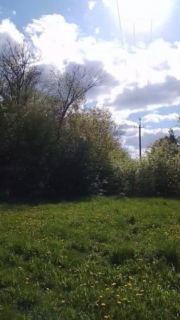 Полянка в деревне 🌼🌼🌼